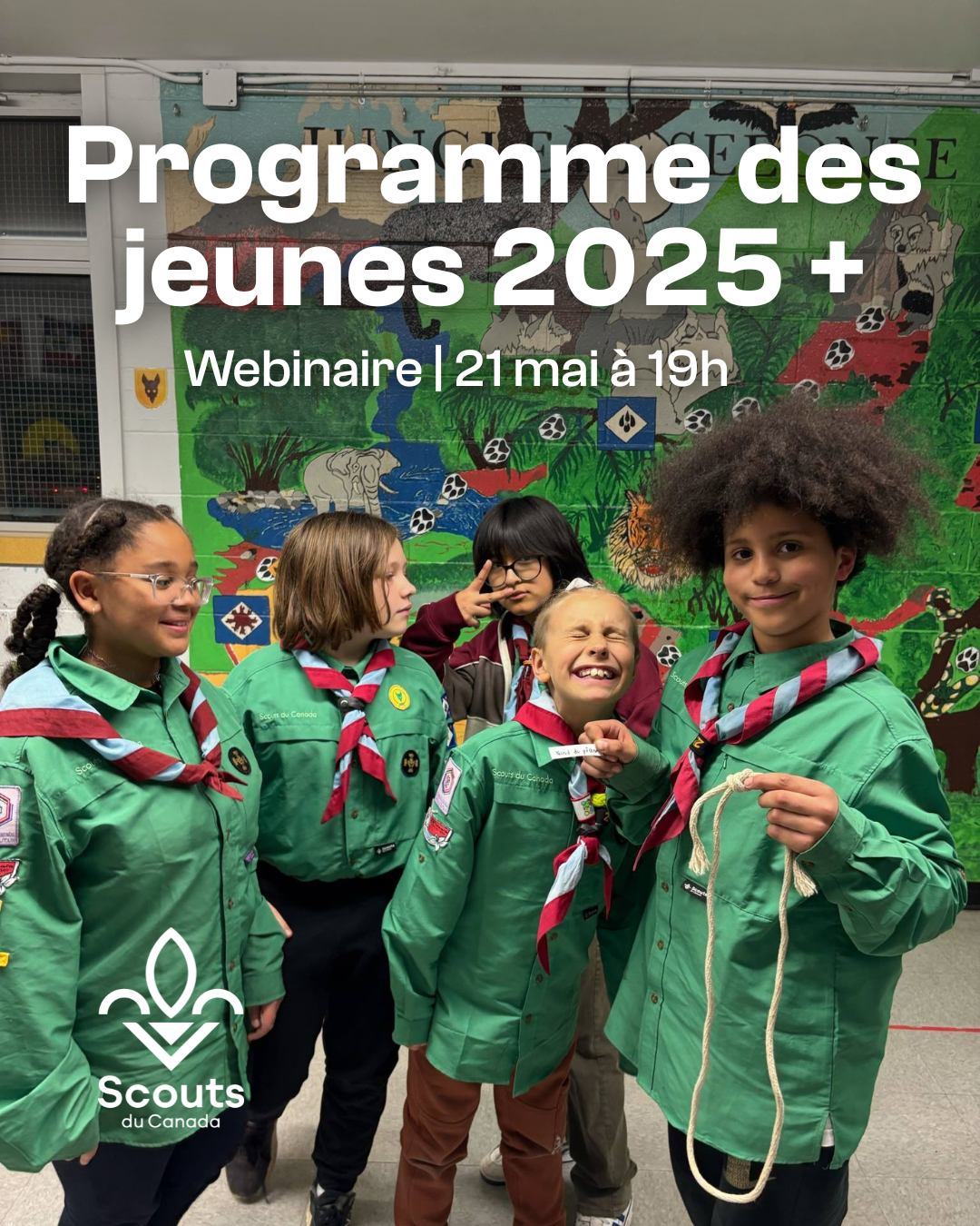 Webinaire au lancement du rapport découverte